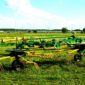 grabli_voroshilka_rotornye_gvr_630-2